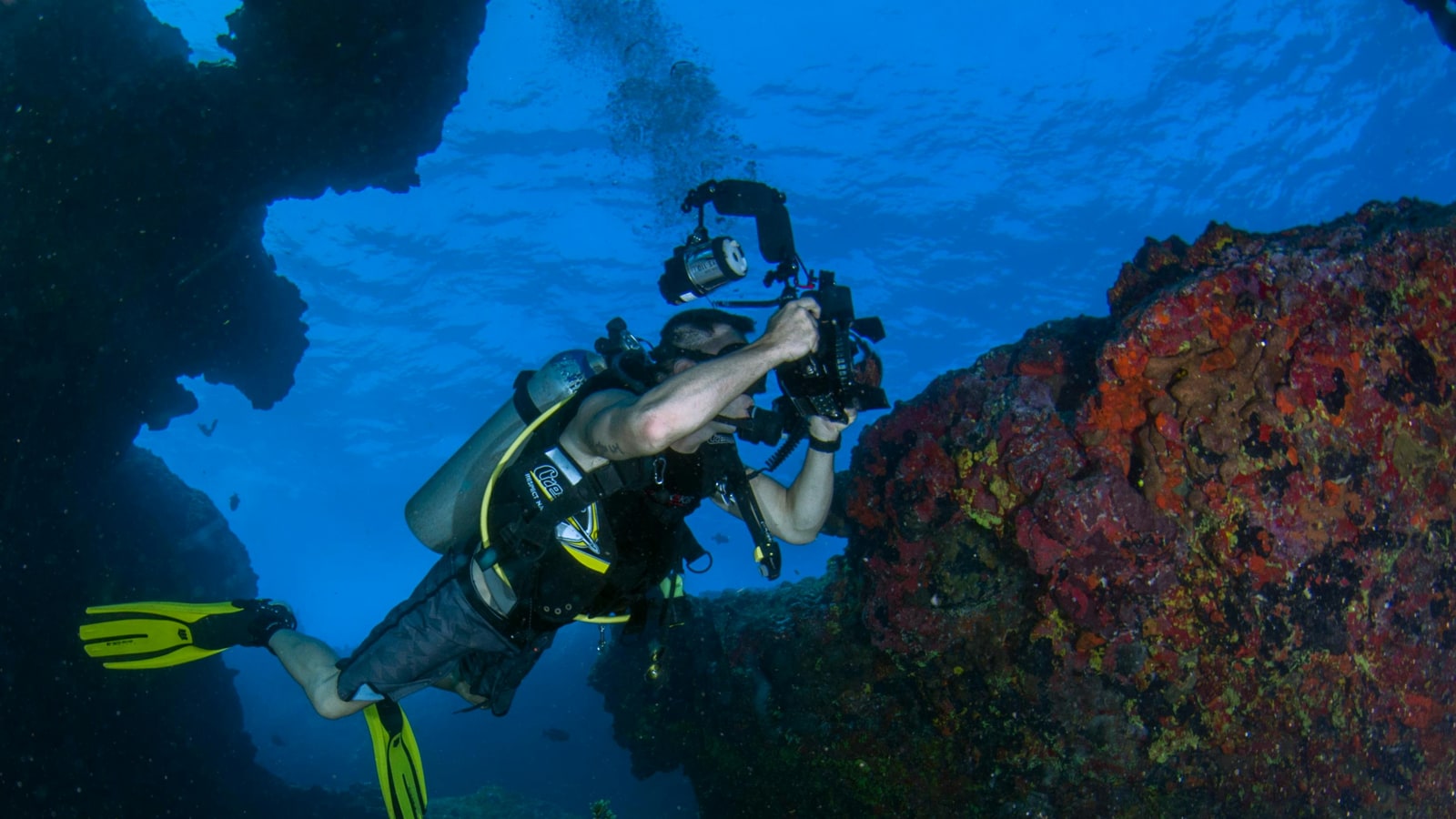 Why are divers told to never hold their breath during a dive?