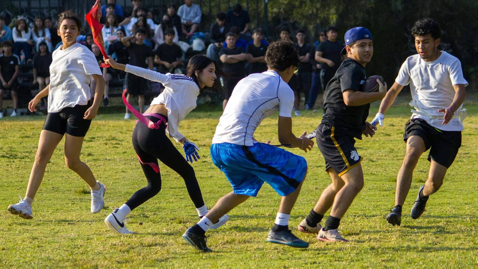 Why should students not play sports?