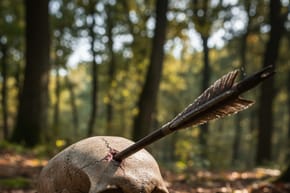 Can an Arrow Pierce a Human Skull?