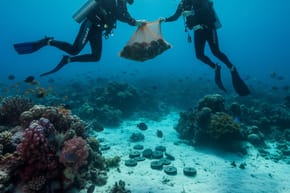 How Much Weight Do I Need to Dive?