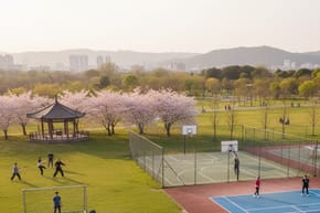 Is It Worth It to Play Soccer or Tennis?