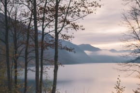What Patriots Player Passed Away?