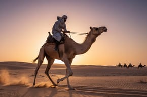 How Fast Can a Camel Run With a Rider?