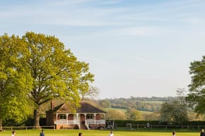 What Was the Cricket Habitual of Doing in Summer and Spring?