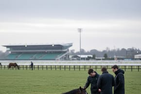 What Was the Name of the Horse That Died in Melbourne in 2014?