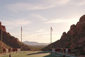 Have the Arizona Cardinals Played in the Super Bowl?