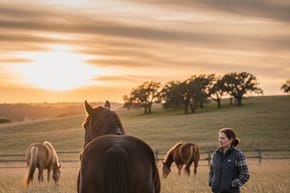 What Does It Mean When a Horse Turns His Back on You?
