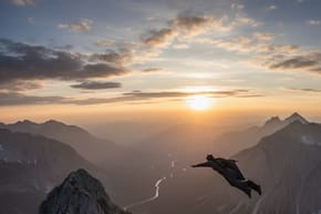 What Percentage of Wingsuit Jumpers Die?