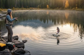 How Do You Get Rainbow Trout From the Shore?