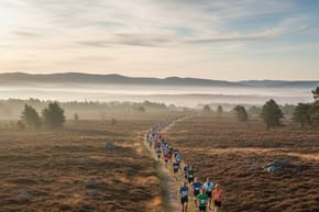 Is the Great North 5K a Half Marathon?