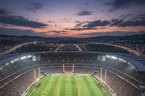 How Would You Describe the Superbowl?