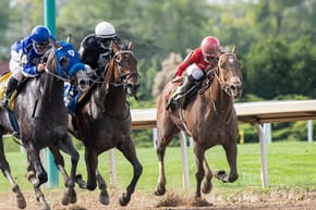 Why Do Jockeys Whip the Horses?