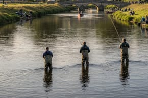 Is Fishing the Most Popular Sport in the UK?