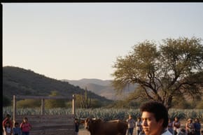 When Did Fernando Valenzuela Start for El Toro?