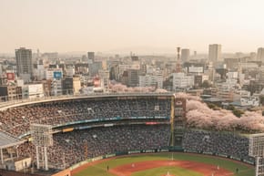 How Popular Is Baseball in Japan?