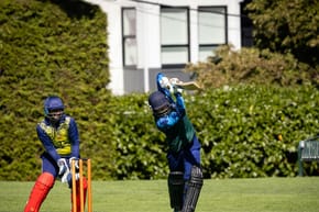Which Country Dominates Cricket?