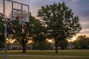 What Height Should an Adult Basketball Hoop Be?