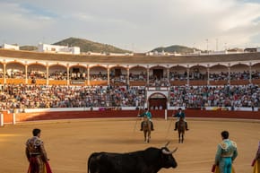 How Many Rounds Are in a Bullfight?