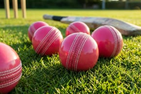 Which Grade Bat Is Best for Leather Ball?
