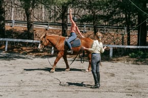 Where to Ride a Horse in Steamboat Springs?