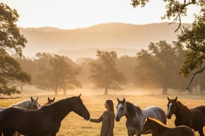 Is There Such a Person as a Horse Whisperer?