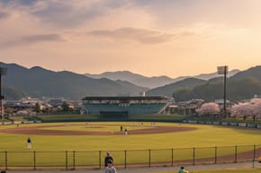 What Baseball Teams Are There in Japan?