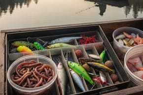 What Is the Best Fishing Bait?