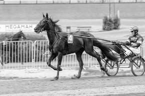Which Is the Most Valuable Horse Race in the World?