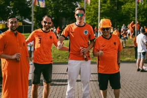 Who Was the Manager of the Netherlands Before Happel?