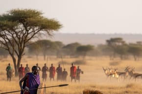 Can a Human Fight a Lion?