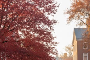 What Are the School Colors for Harvard University?