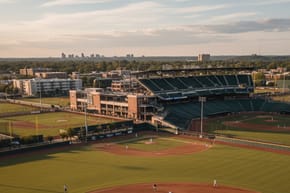 Are There Any Professional Leagues in Baseball?