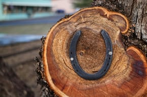 Which Way Should a Horseshoe Ring Face?