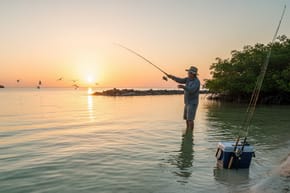 What Is the Best Bait for Inshore Fishing?