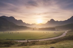 What Kind of Music Should I Listen to Before a Rugby Game?