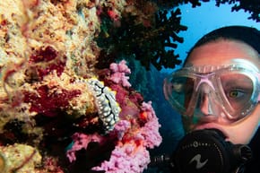 Why Do Divers Fall Backwards?