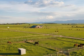 How Many Acres Do You Need to Board a Horse?